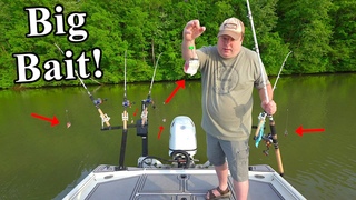 Did my backwater creek #skunk me again (Flathead Catfish Fishing)