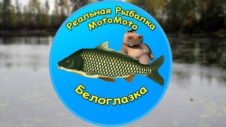 Как поймать Белоглазку на Карасёвом пруду NEW | Реальная Рыбалка