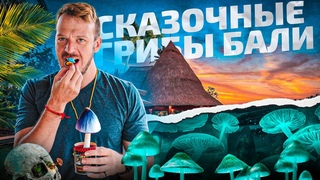 Бали: Грибной рай на Гили Травангане  трип прямо на пляже!