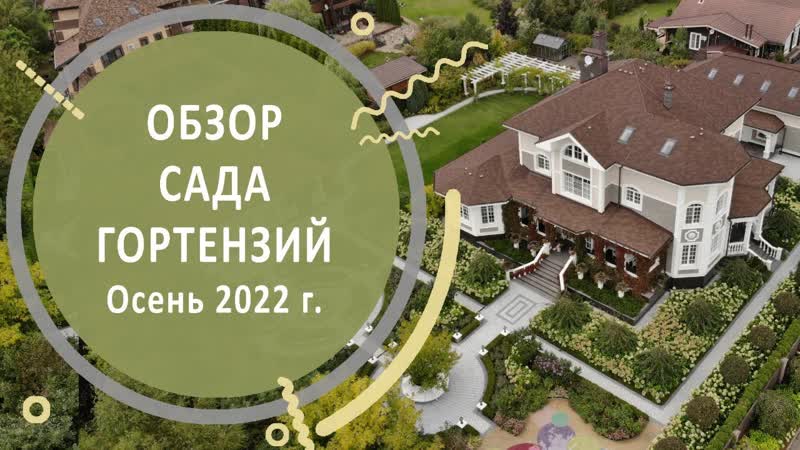 Сад гортензий осенью. Обзор сада и прогулка по саду