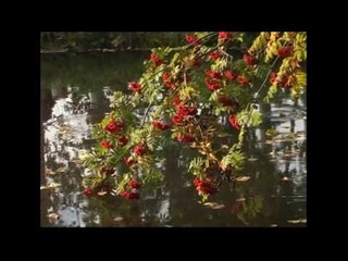 Осенний романс
