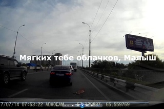 Щенок дворняжки погиб под колесами авто
