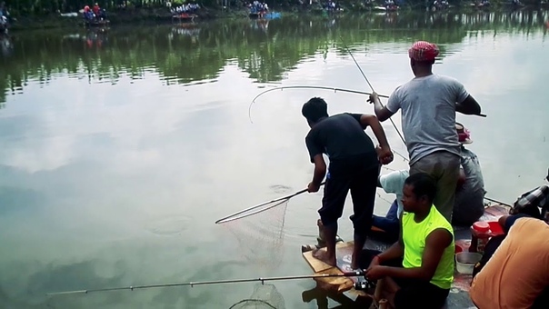 Huge Fish Hunter Hunting And Fishing By Fishing Rod And Fish