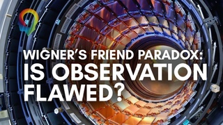 Wigner's Friend Paradox: Is Observation Inherently Flawed