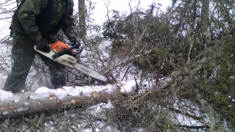 Супер сучкорез STIHL 271 Русские лесорубы Super delimbers in