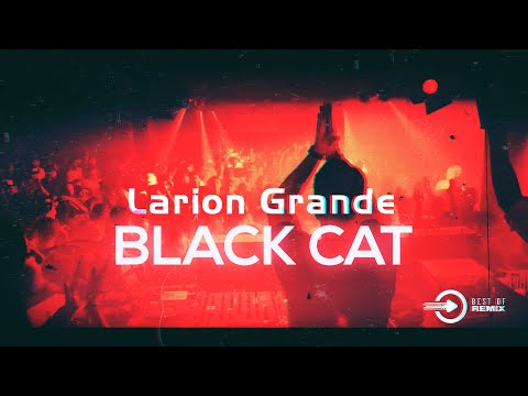 Larion Grande Black Cat ( Original