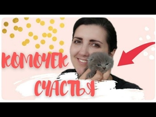 Лежанка для кошки своими руками. Кроватка для кошки и котят.