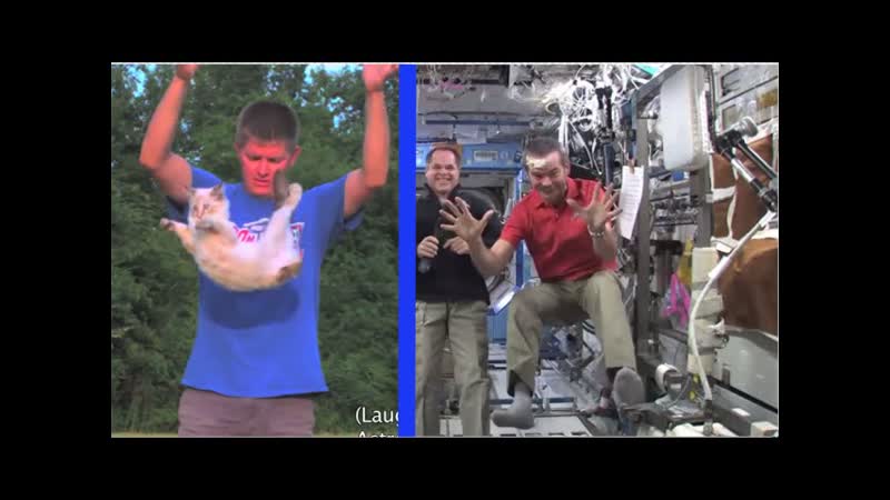 SPACE CATS Smarter Every Day