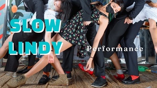 |  | Slow Lindy Performance