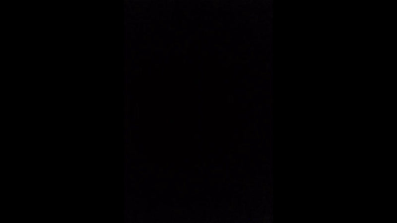 Live: Стая ЧПС чулочки псы