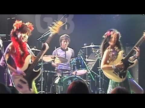 The WHYs, Surf