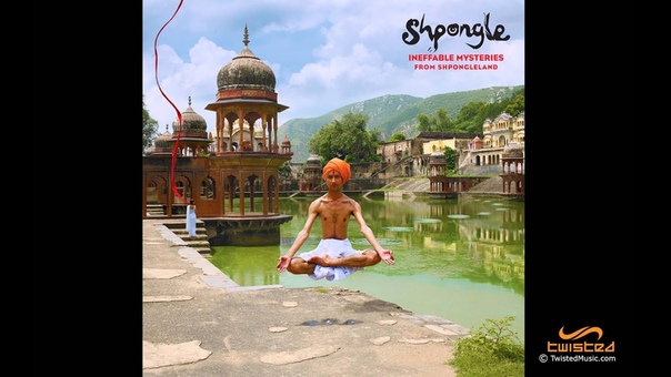 Shpongle Nothing Is Something Worth