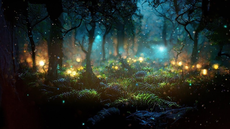 Enchanted Forest: Soothing Music for Deeper