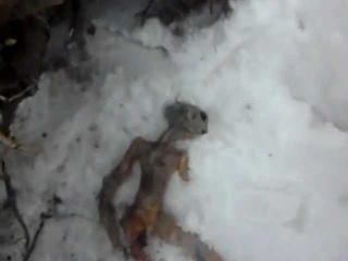 Под Челябинском