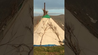 Как коренные народы севера спасаются от комаров. Тундра. Ямал #янао #рекомендации #крайнийсевер