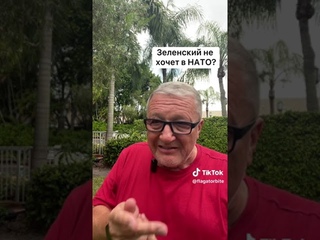 Глядя из-под пальмы. Зеленский не хочет в НАТО?