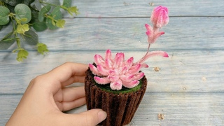 Cách Làm Sen Đá Bằng Kẽm Nhung Siêu Đẹp - Hoa Kẽm Nhung - Cách làm hoa kẽm nhung