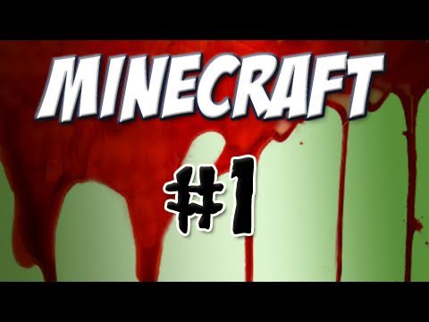 Minecraft Part 1: How to Survive the First