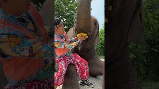 Really enjoy the elephant eating banana