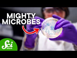 What Your Microbiome Does For Your Body
