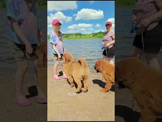 Ксиаоджиан Гуангли и Ксианлианг Тайхуа