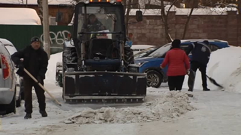 Жители Королёва присоединились к акции Дружные соседи