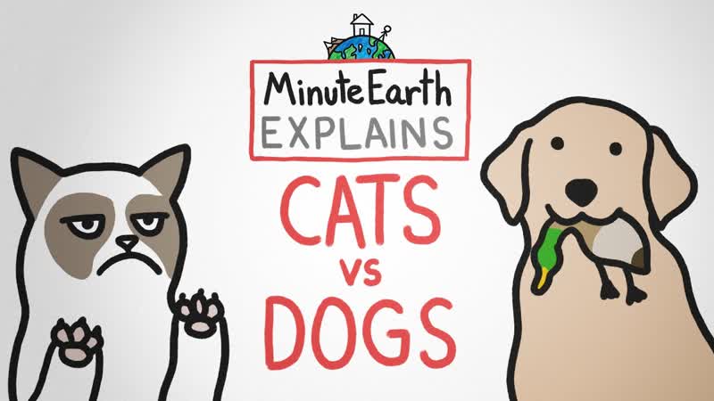 Minute Earth Explains: Cats vs