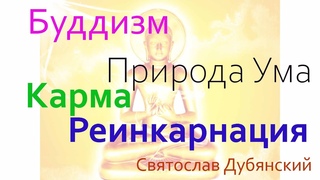 Буддизм. Природа Ума. Карма. Реинкарнация. Медитация