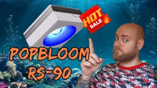 Pop bloom RS-90 , моё мнение.