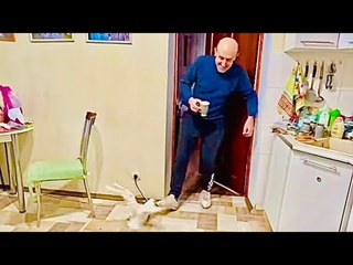 Жорик НАБРОСИЛСЯ на Влада и ПОРВАЛ как тузик грелку за любимую Киру!