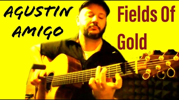 Agustin Amigo Fields of Gold ( Sting) Solo Acoustic