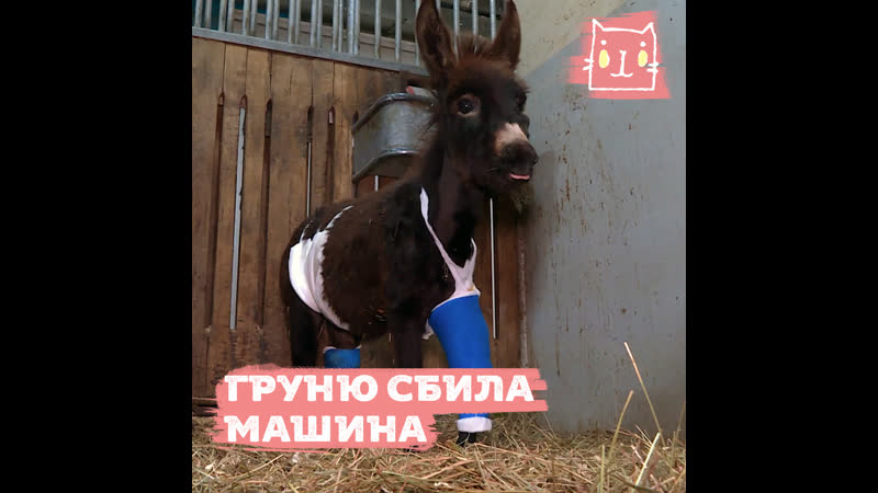 Второй шанс для