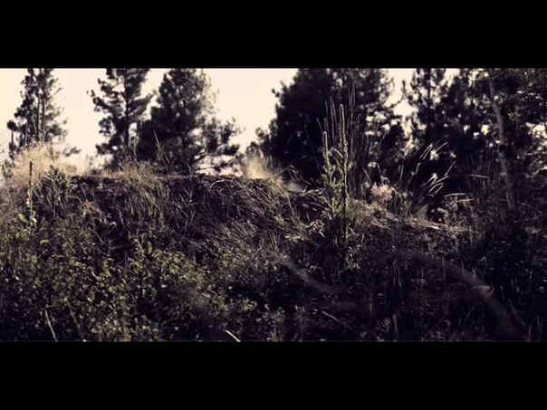 Anthony Messere Fall Edit