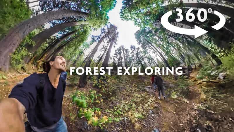 FOREST EXPLORING