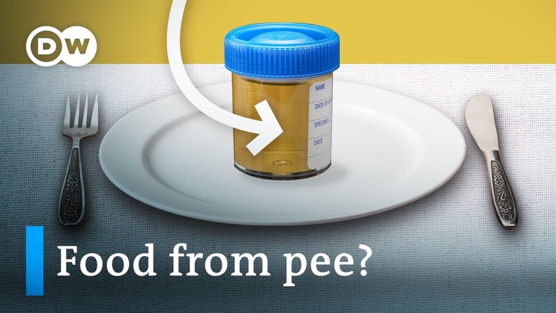 How your PEE can help avoid a food