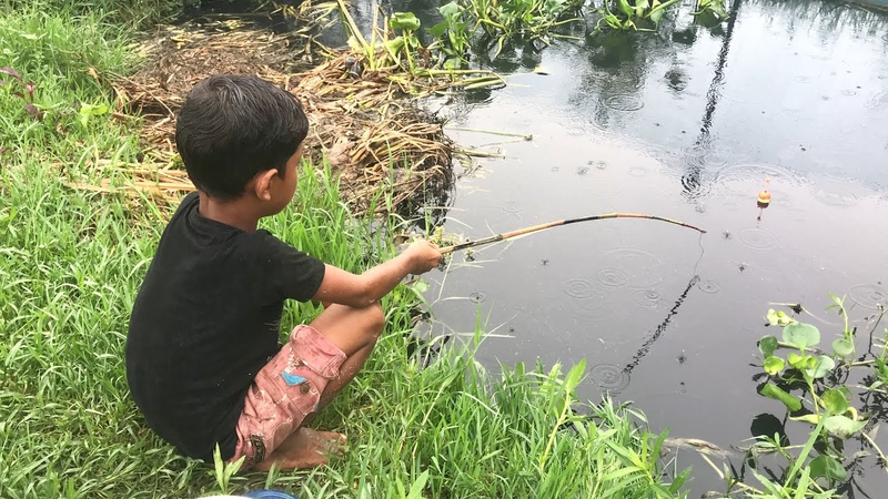 Village Little boy hook fishing in rainy season, traditional catching fish hunting by hook ( Part