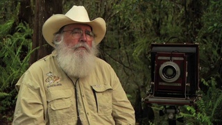 The Western Everglades: The Big Cypress Swamp