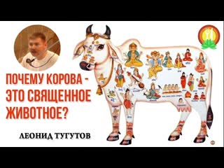 Почему Корова - это  Священное животное  Леонид Тугутов. Лакшми Нараяна дас.