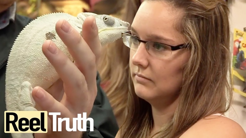 The Great British Benefits Handout: Episode 2 ( Social Experiment), Full Documentary, Reel
