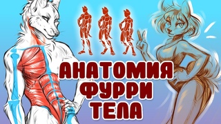 Как рисовать тело фурри  / Анатомия идеального фурри персонажа
