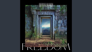 Sub Focus, Wilkinson & Empara Mi - Freedom (Sub Focus x Wilkinson x High Contrast Remix)