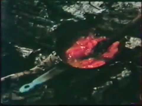 François Augiéras : LI le du bout du monde ( Film 8