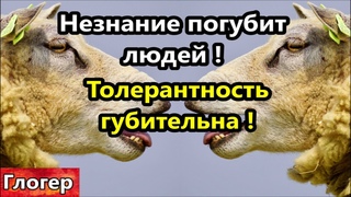 Незнание погубит людей ! Толерантность вредоносность чуждых элементов ! Гул из под земли ! #америка