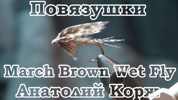 Повязушки. March Brown Wet