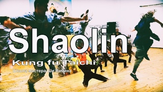 2023Shaolin России. Москва. Школа мастера Ши Янбина. Кунг-фу.  Тайцзицюань. Хроника. Ноябрь 2023.
