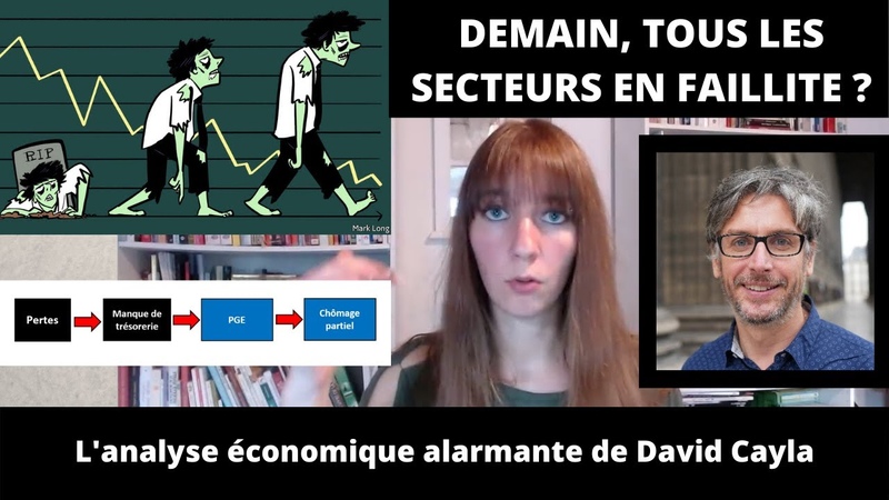 10 MIN POUR COMPRENDRE : David Cayla prévoit une FAILLITE GENERALISÉ E due au Prêt Garanti par