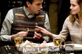 Harry Potter Character Theme Songs (19 Characters)