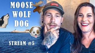 Moose, Wolf & Dog - Instagram Live Stream #5 ft. Hannes van Dahl