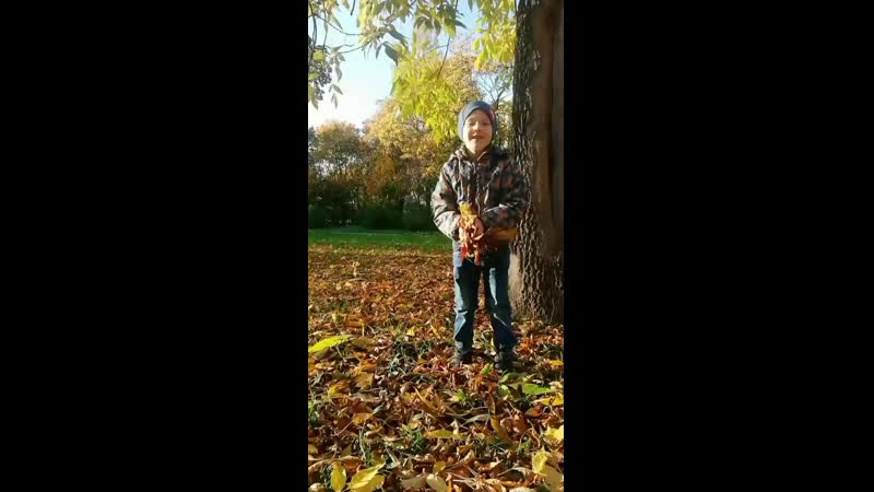 VID_30720608_081914_055.mp4