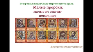Добыкин Д.Г. Малые пророки. Лекция 31